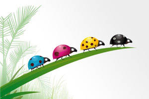 Kinder-Naturheilkunde für das Kind - biologische Medizin